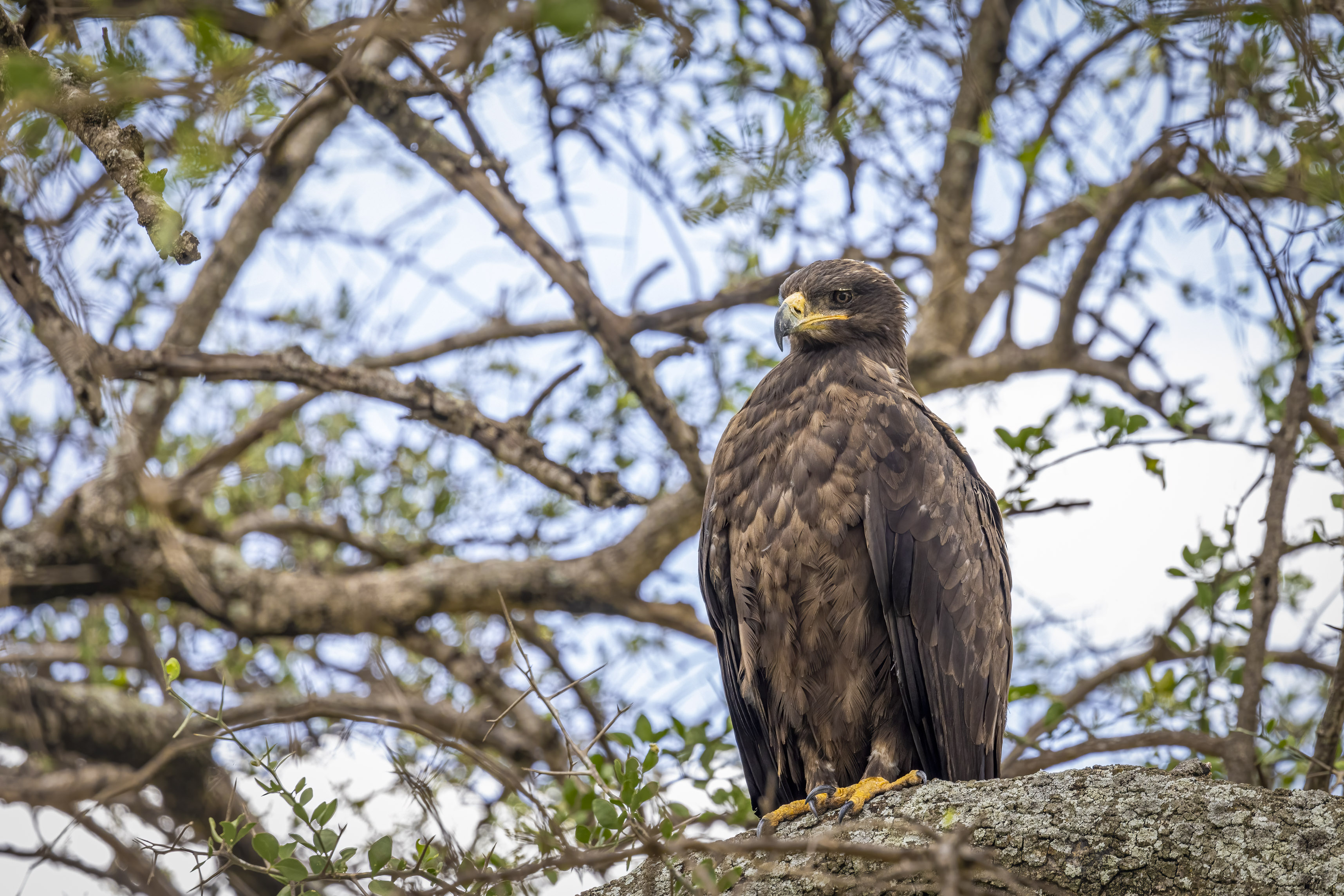 November 10, 2022-121143-2-Edit.jpg